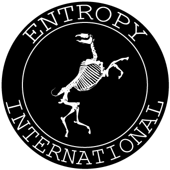 Entropy International